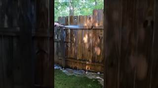 Cleaning this wood fence… pressurewashing satisfying newvideo [upl. by Alehtse742]