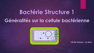 Bactérie Structure 1 BACTERIE sans musique de fond [upl. by Yancey610]