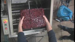 Delumping Cranberries  American Process Systems® APS [upl. by Drofkcor267]