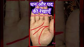 Lines of wealth and position धन और पद की रेखाएँ viral palmistry dhankirekha trending wealth [upl. by Norreg]