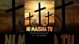 NI MAISHA TU by the way DESTIN Mr And One Direction de ft PIS MAMBA I Audio Official [upl. by Aivital]