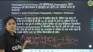 CLASS 11TH BIOLOGY CHAPTER  16 II पाचन एवं अवशोषण II PART  4 BY CG BOARD CG SHIKSHA [upl. by Oisinoid815]