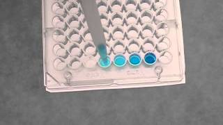 Serial Dilution [upl. by Anual746]