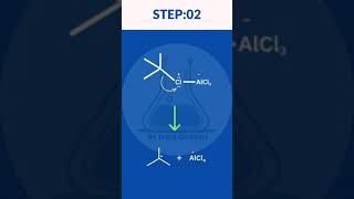 friedel crafts alkylation mechanism  Organic Chemistry 2 friedel crafts alkylation reaction [upl. by Ferdinand295]