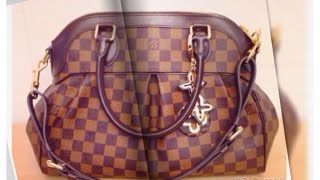 Louis Vuitton Trevi PM in Damier Ebene [upl. by Nirehtak]