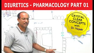 Diuretics Part1 Pharmaceutical Chemistry Mode of action classification structure furosemide [upl. by Yttel]