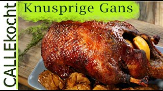 Knusprige Gans zubereiten Rezept für besten Gänsebraten [upl. by Naerda]