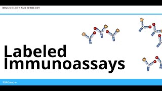 Labeled Immunoassays  An Overview [upl. by Dulsea14]