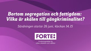 Almedalen 2024 Bortom segregation och fattigdom – vilka är skälen till gängkriminalitet [upl. by Aisilef907]