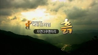 EBS 다큐프라임  Docuprime 자연 다큐멘터리 흙001 [upl. by Ikim]