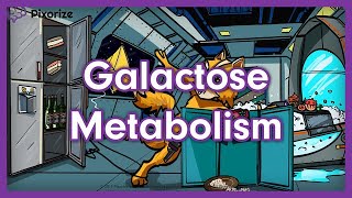 Galactose Metabolism Mnemonic  USMLE Preview [upl. by Matusow]