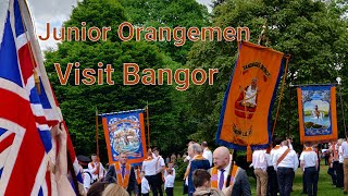 Junior Orangemen parade in Bangor 27 May 2023 [upl. by Kincaid]