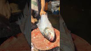 Amazing Catla Carp Fish Cutting Skills In Bangladesh Local Fish Market 5shorts [upl. by Marchall]