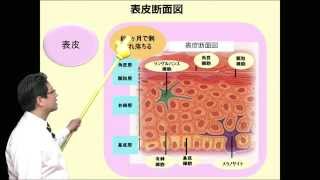 奥田知規先生 講座 「介護に役立つ皮膚の構造と生理」 [upl. by Baal]