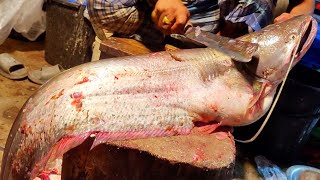 14 KG Giant Wallago Attu Catfish Cutting In Bangladesh Fish Market  Fish Cutting Skills [upl. by Grimaud868]