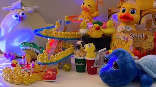 LET’S PLAY asmr asmrsounds asmrvideo satisfying relaxing toys duck cute play show shorts [upl. by Lin284]