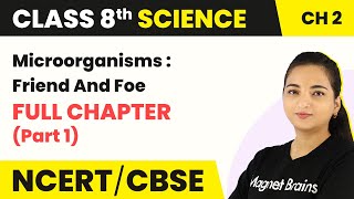 Class 8 Science Chapter 2  Microorganisms  Friend And Foe  Full Chapter Explanation Part 1 [upl. by Nivled]