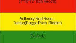 Anthonny Red Rose  TempaRagga Pitch Riddim [upl. by Eceryt614]