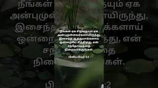 TODAY PROMISE WORDசத்திய விதைகள்shorts shortvideo shortsfeed prayer love [upl. by Htehpaj]