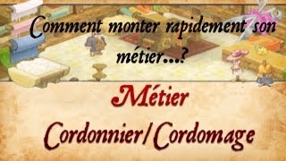 DOFUS Comment monter rapidement son métier  CordonnierCordomage [upl. by Hutchison]