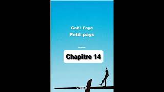 14  Petit Pays  Gael Faye  aide à la lecture  Chapitre 14 [upl. by Pren]