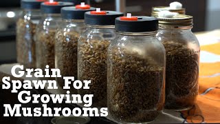 How to Make Grain Spawn For Growing Mushrooms [upl. by Leonard]