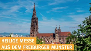 Heilige Messe live aus Freiburg katholischer Gottesdienst  11112024 [upl. by Horick]