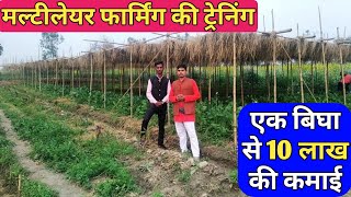 मल्टीलेयर फार्मिंग की ट्रेनिंग एक बिघा से 10 लाख की कमाई  multilayer farming Training in hindi [upl. by Neih]