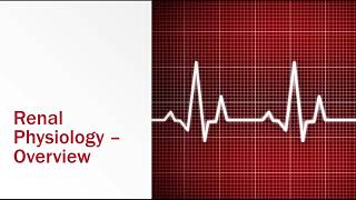 Renal Physiology Overview [upl. by Morissa]