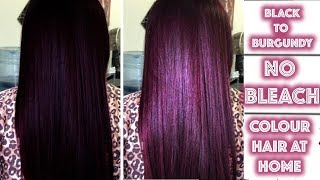 Black to Burgundy Hair Colour  No Bleach [upl. by Leal]