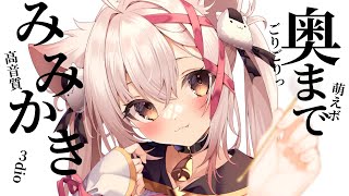 【ASMR】２台のマイクでごりごり奥までみみかき、聞き比べ。眠くなる声。耳かき・梵天・尻尾etc✨ asmr earcleaningasmr [upl. by Ahsiened]