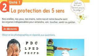 svt la protection des 5 sens ce1 ce2 [upl. by Monie]