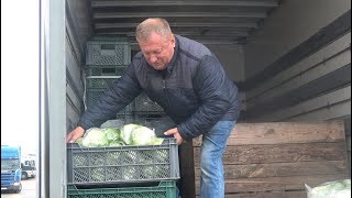 Bronisze wyjątkowo tanie młode ziemniaki Jakie są ceny warzyw [upl. by Eugene402]