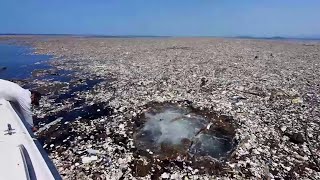 As imagens que mostram o gigantesco mar de lixo no Caribe [upl. by Feingold]