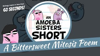 Mitosis Poem  Amoeba Sisters Shorts [upl. by Constantin935]