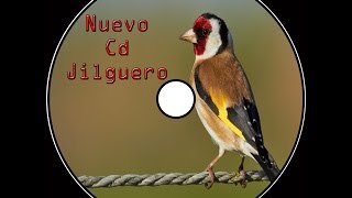 Nuevo Cd Jilguero Educación Noveles  2014 [upl. by Olivie]