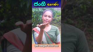 ජංගි හොරා  Jangi Hora  Laira Productions [upl. by Cornew]