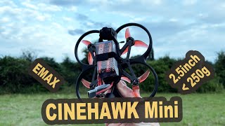 EMAX CINEHAWK Mini 240 Gramm Cinewhoop O3 und GPS Montage [upl. by Kelam]