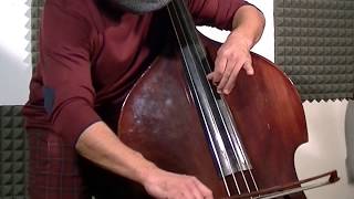 G Rossini  Il Barbiere di Siviglia  Double Bass Solo [upl. by Fancie]