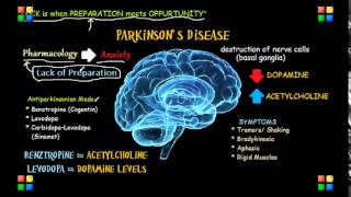 NCLEX Review Parkinsons Medications Treatment [upl. by Alikat]