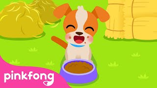 I’m a happy dog  The Dog Song  Farm Animals  Nursery Rhymes  Animal Songs  Pinkfong Songs [upl. by Ahcrop]