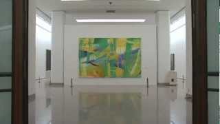 Gerhard Richter Paintings 19632007 National Art Museum of China Beijing 2008 [upl. by Naitsirc]