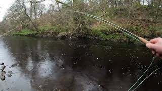 A day on the river fly fishing fishing trout rivers [upl. by Amalbergas]