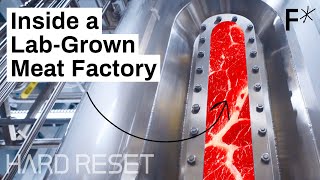 Largescale labgrown meat Step inside a cultivated meat factory  Hard Reset [upl. by Hildegard]