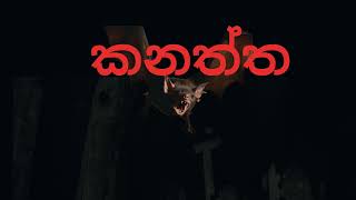 කනත්තsinhala holman katha ghost story [upl. by Nrubyar610]