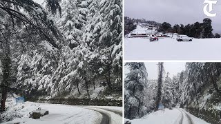 Solan Fresh snow wraps Chail in white blanket [upl. by Ethelin]