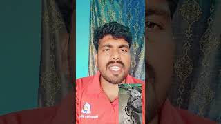 Subscribe amp follow Kottu Offer Pattu 9000777112 trending viralvideo carwash detailing [upl. by Tterb]