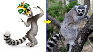 Madagascar 3 Characters In Real Life [upl. by Liborio]