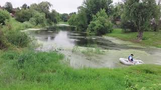 Pond Algae problem Solved Knockdown and Boost for Pond Algae Relief [upl. by Gilman]