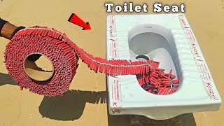 Toilet Seat VS 2000 Bijili Crackers  2000 Fire Crackers In Toilet Seat Experiment [upl. by Drusy63]